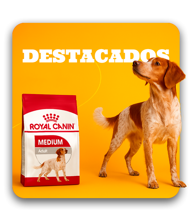 Los favoritos del Quindío