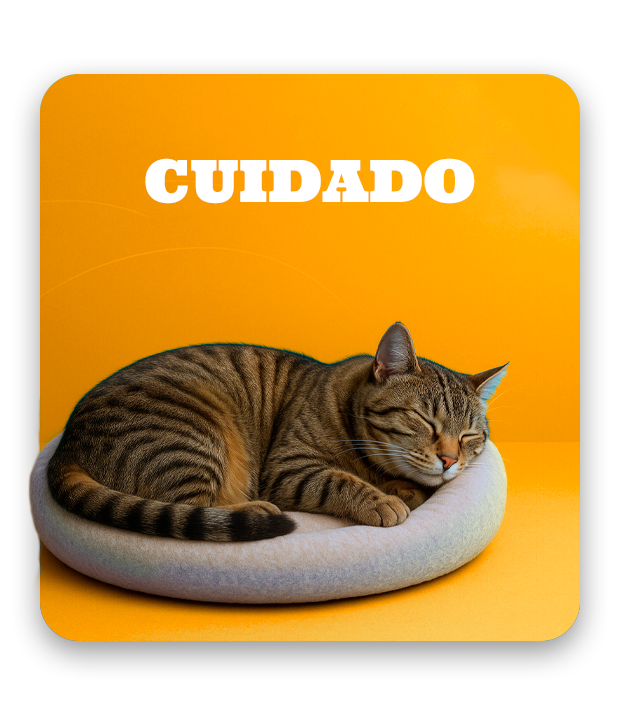 Cuidado y Bienestar Total