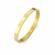 Bracelete love