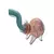 PIPA PYREX ELEFANTE GRANDE INDIA - comprar online