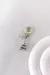 CHARMS PANDORA PLATA REF.289-70