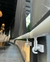 Toldo Vertical en internet