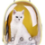 Mochila Pet Transporte para Cães e Gatos - comprar online