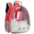 Mochila Pet Transporte para Cães e Gatos na internet