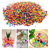 Bolinhas de Gel Orbeez [Colorido] - comprar online
