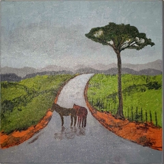 Caminho na Chuva