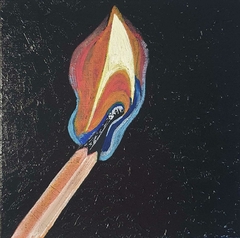 Fogo