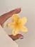 Flor Hawai 5cm