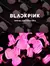 BlackPink Official Lightstick Ver. 2 - comprar en línea