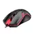 Mouse lehmox gt-m5