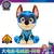 Patrulha canina - comprar online