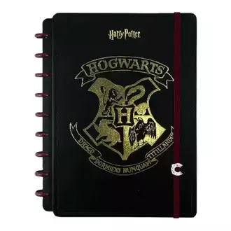 CADERNO INTELIGENTE MEDIO 75739-24 - HARRY POTTER - UN - JANDAIA