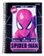 CADERNO ESPIRAL UNIV 20M SPIDER CD 320FLS na internet