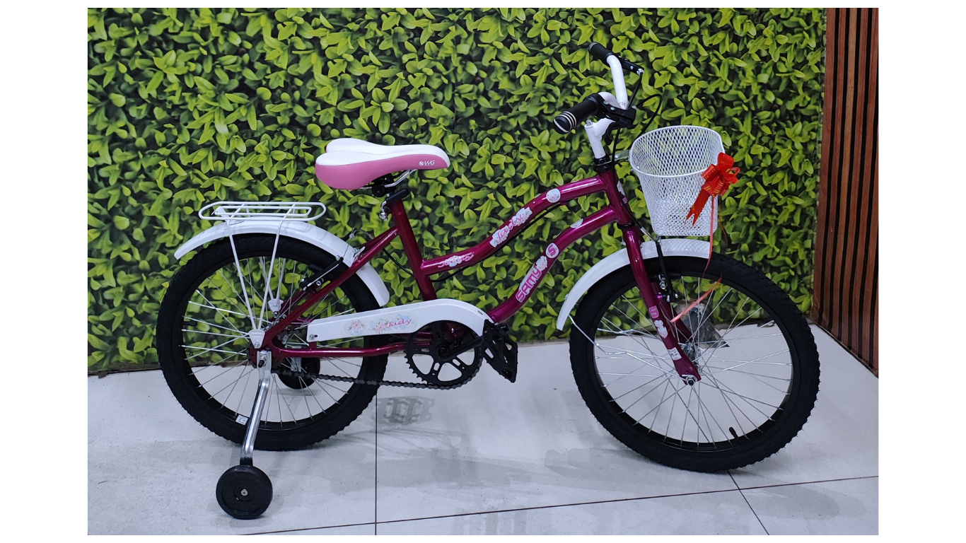 BIKE LINHA BELLA ARO 20 E 24