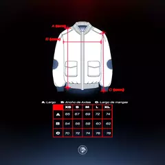 Campera NBA Chicago Bulls Champions Black&White en internet