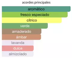 LATTAFA MAAHIR LEGACY en internet