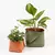 Cachepot P Caramelo / Oliva - Sorella Home | Elegância que acolhe, beleza que permanece