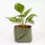 Cachepot P Caramelo / Oliva - comprar online