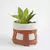 Cachepot Sorella + ADA - Sorella Home | Elegância que acolhe, beleza que permanece