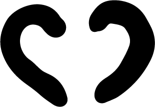 Nose
