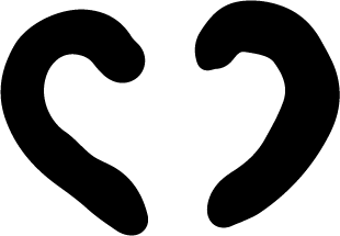 Nose