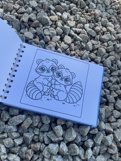Imagem do Livro colorir arca de noe