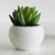 PLANTITAS DECO - comprar online