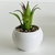 PLANTITAS DECO