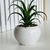 PLANTITAS DECO - tienda online