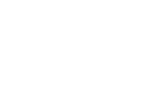 Use Hocky