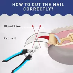 Cortador de Unhas Profissional para Animais de Estimação com Guarda de Segurança - Zellor