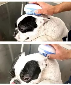 Escova de Banho 2 em 1 para Cães e Gatos – Massagem + Higiene no Banho - loja online