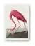 Deco pop art- # 1235 - comprar online