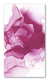 Colores wow # 1906 - comprar online