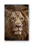Animales & Naturaleza - # 80 - comprar online