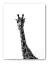 Animales & Naturaleza - # 14 - comprar online