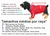 Roupinha Jacaré - comprar online