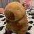 Pelúcia Capivara 15-30cm | Boneco Fofo de Presente