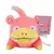 Pelúcia Pokémon Colecionável – 47 Estilos Incríveis | Pikachu, Charmander, Bulbasaur e Mais! na internet