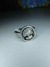anillo arbol