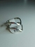 anillo