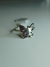 anillo