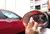 GLACO ZERO COAT P/ RETROVISOR E CAMERA DE RÉ SOFT99 40ML na internet