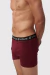 BOXER LOGED