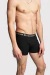 BOXER LOGED en internet