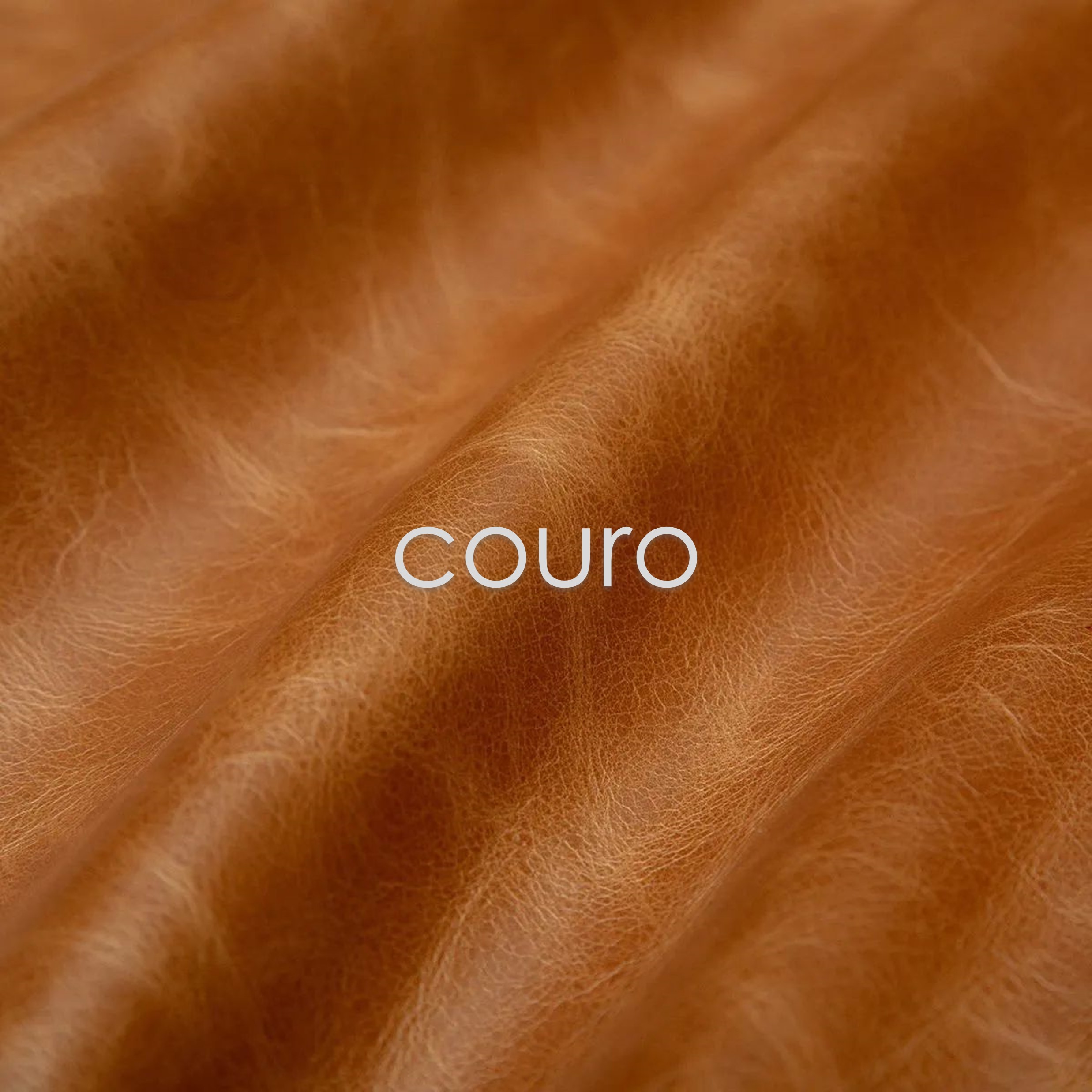 Banner de CORIUM
