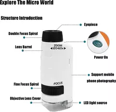Microscópio Infantil Completo - comprar online