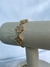 Pulseira Trevo Cravejada