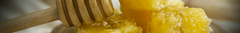Banner de la categoría Miel 