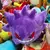 Universo Pokémon - universo store